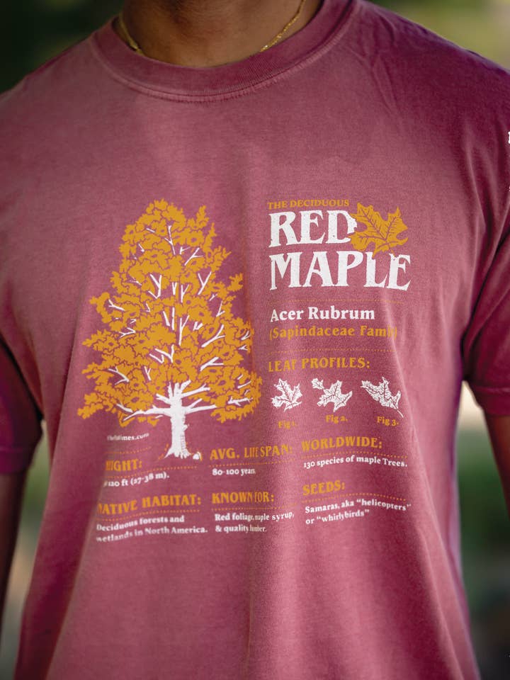 Red Maple for wholesale by ThePastimes.com