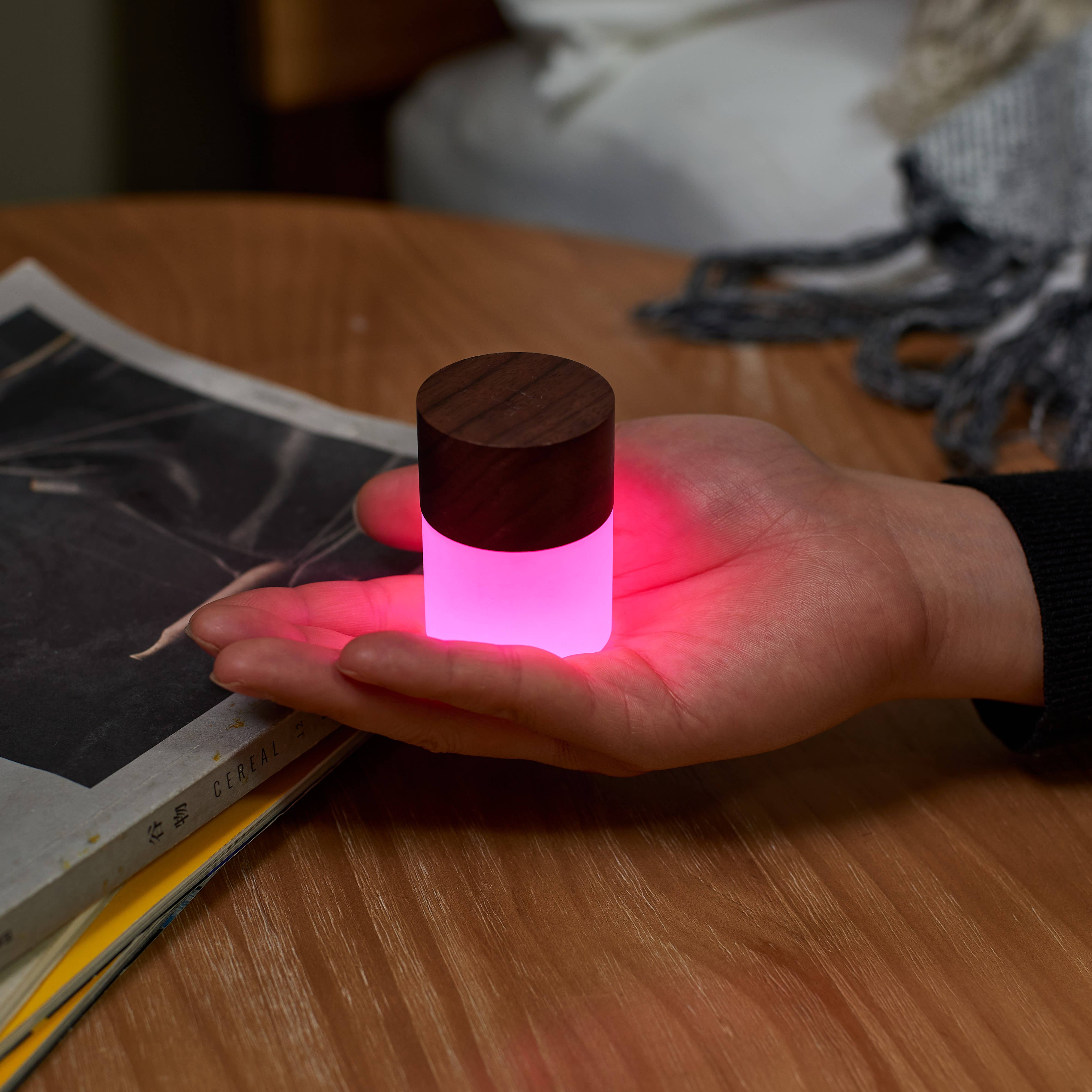 Gingko Design - Wholesale Accent/Desk Lamp - Lemelia Light18