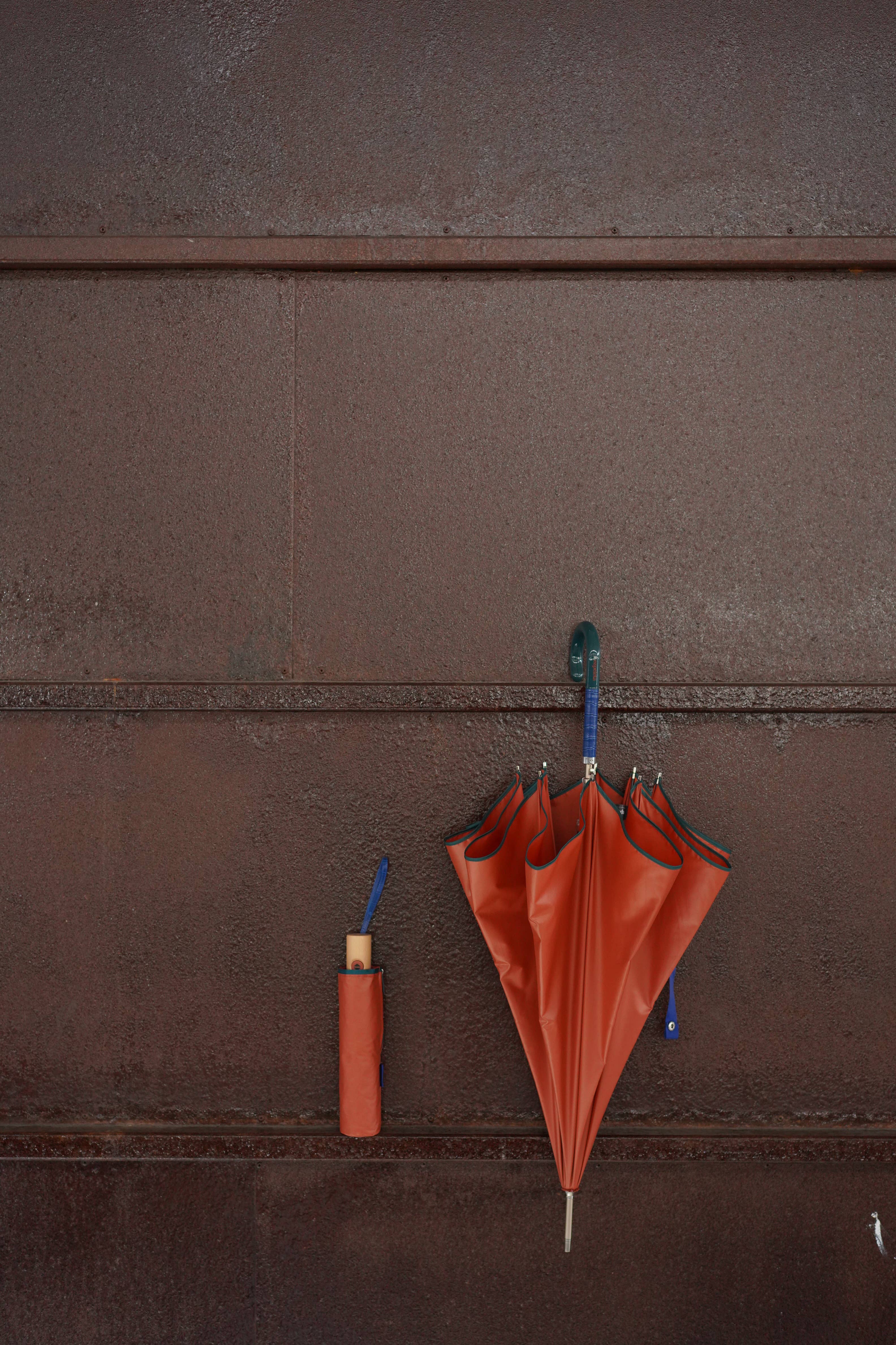 Ezpeleta – Engroshandel Paraply - Dame – EZPELETA Glat Auto Paraply med designdetaljer13