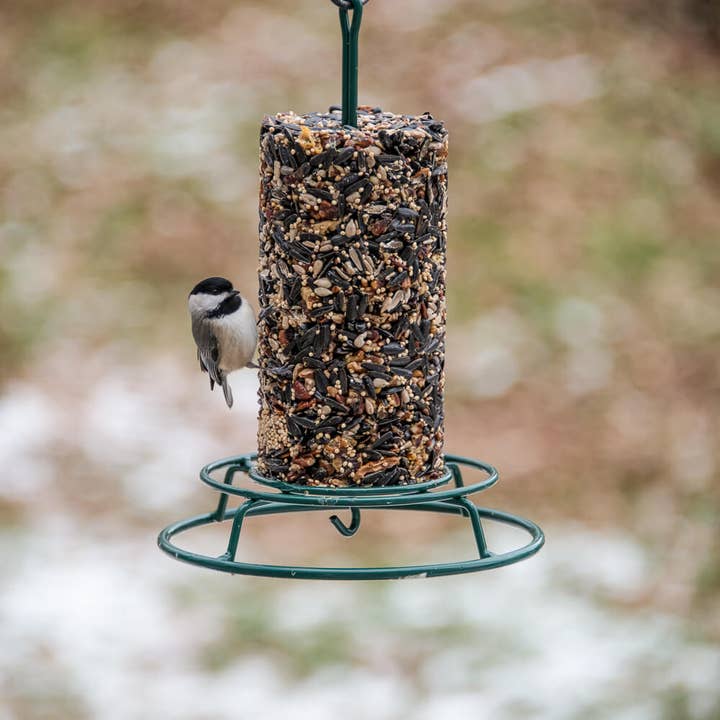 Mr Bird - Wholesale Bird Feeder - WildBird Feast Cylinder - Small