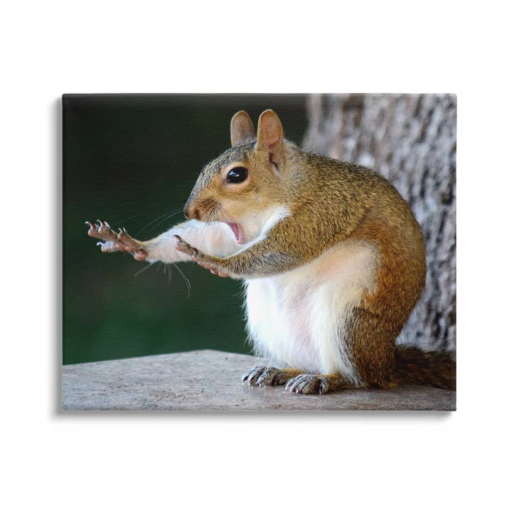 Stupell Industries – wholesale Art print – Funny Shocked Pose Squirrel Canvas Art1
