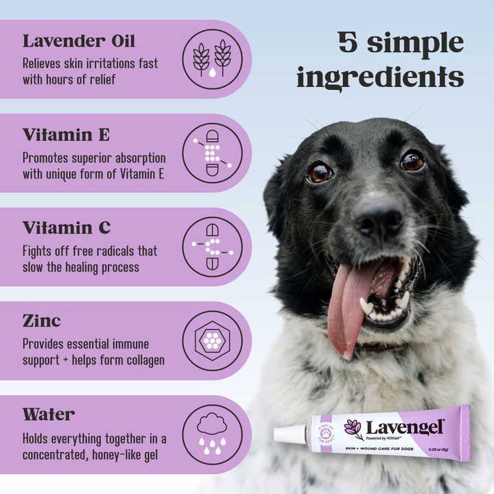 Lavengel - Wholesale Pet Balm - Dog - Lavengel - Super Soothing Skin + Wound Care Salve for Dogs6