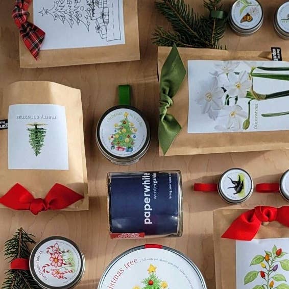 Potting Shed Creations, Ltd. - Wholesale Plant Seeds - Garden in a Bag | Christmas Tree | Best Seller