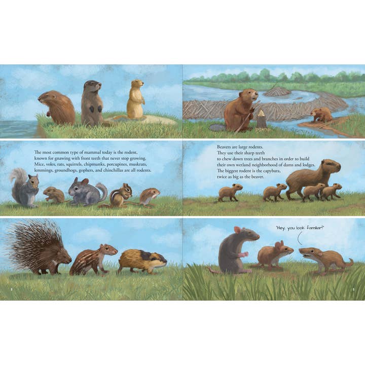 Peter Pauper Press - Wholesale Book - Kids - All the Mammals in the World