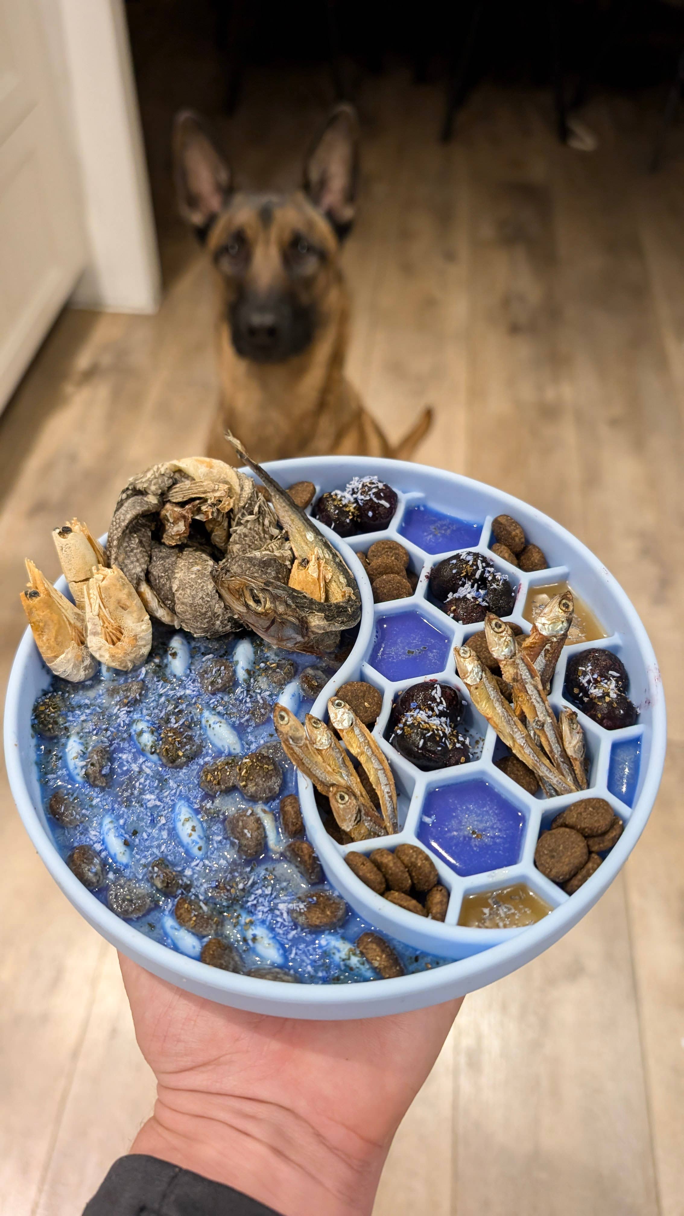 Cooka's Cookies – Großhandel Tiernahrung – Hund – Mermaid Dust - Futterzusatz für Katzen und Hunde5