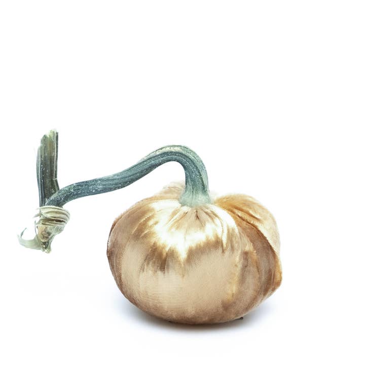 Hot Skwash - Wholesale Decorative Tabletop Object - Brass Silk Velvet Pumpkin