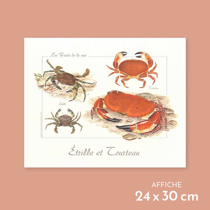 Squirrel and crab - Poster for wholesale by Longue-vue