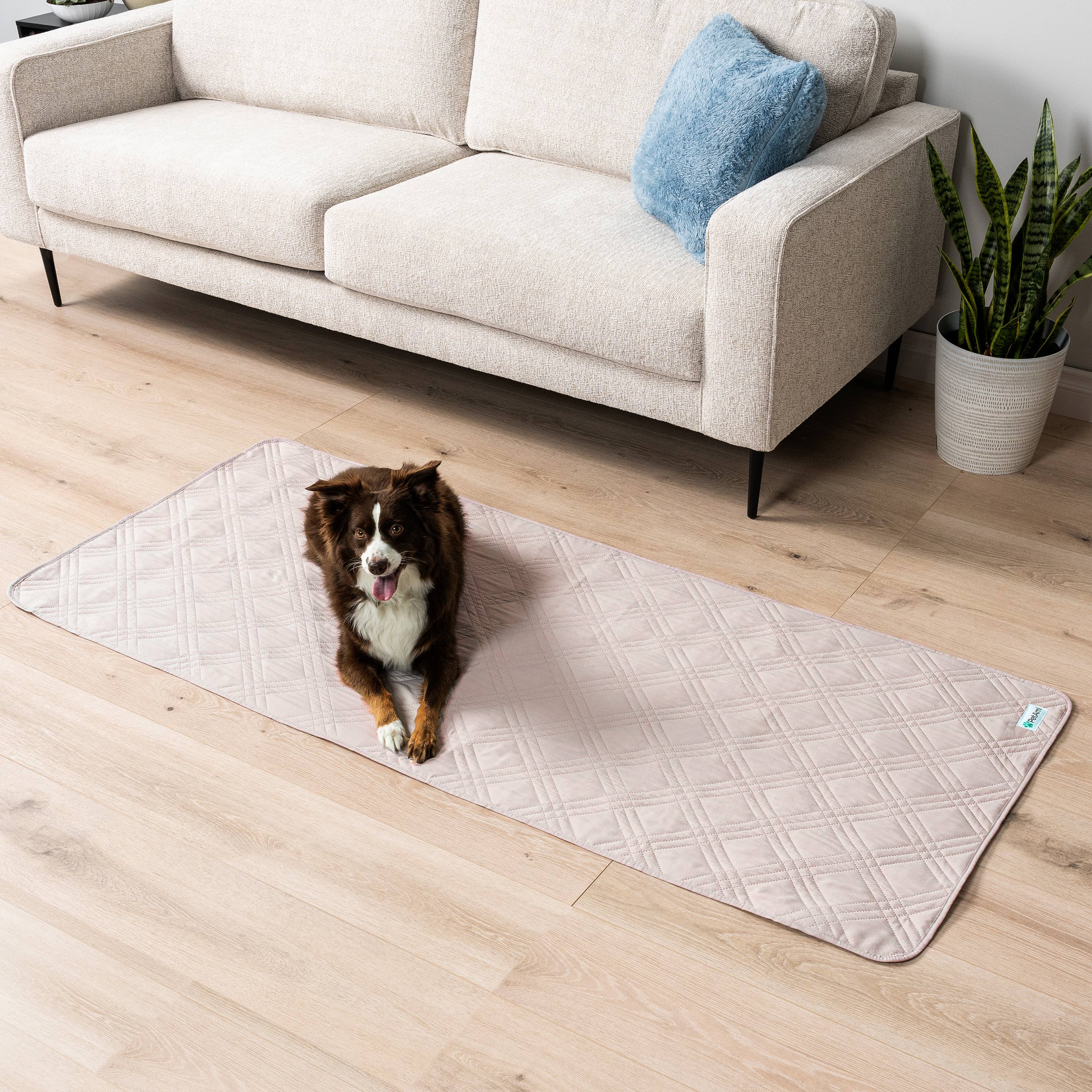 PetAmi - Vente Couverture – chat et chien - Housse de canapé imperméable pour animaux de compagnie1