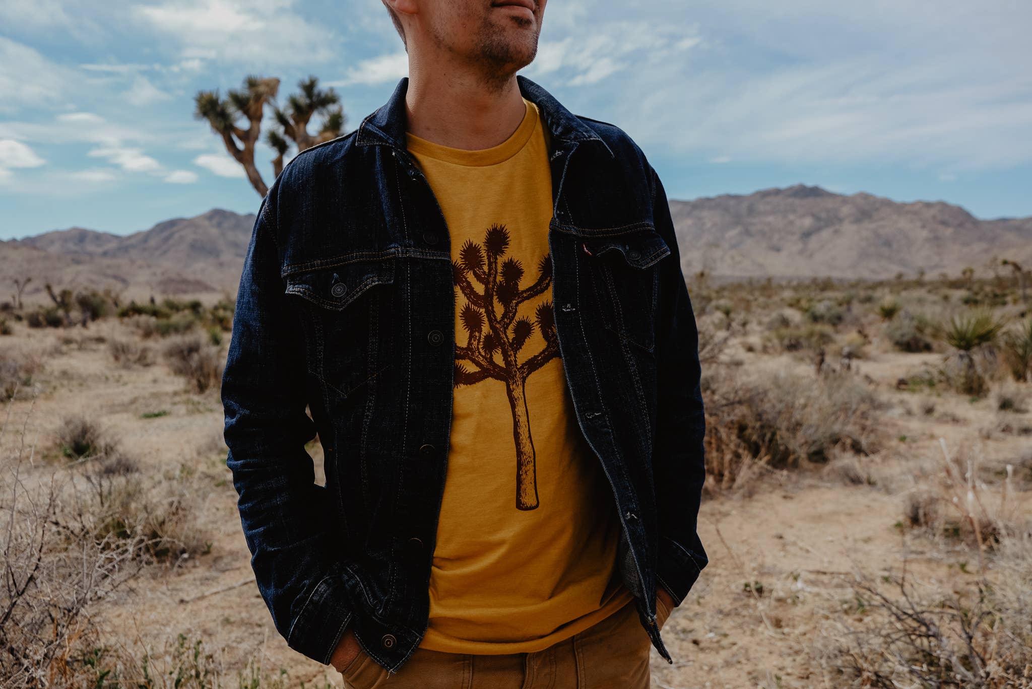 Moore Collection - Wholesale Screen Printed T-Shirt - Men's - Joshua Tree Tee- Mustard2