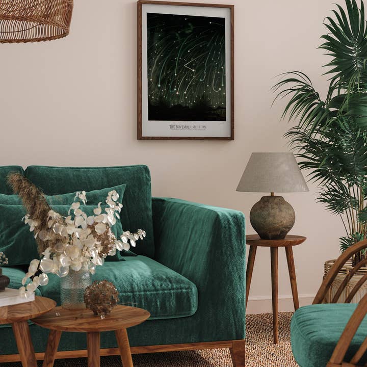 Patroa Studio - Wholesale Poster - November Meteors by Trouvelot Astronomical Poster1