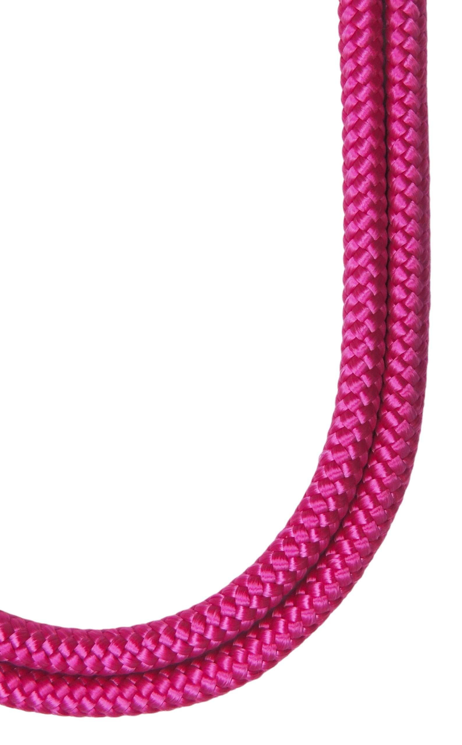 Blue Heeler - Vente Laisse – chien - Pitaya - Laisse extensible pour chien5