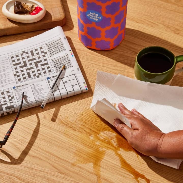 Who Gives a Crap - Wholesale Paper Towels - 100% Recycled Paper Towels - 6 Rolls4