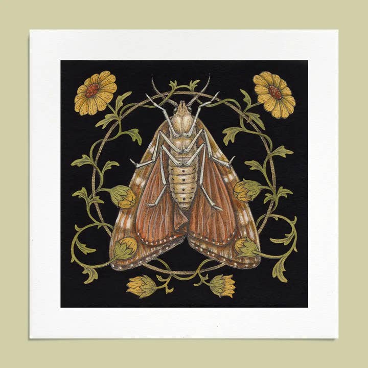 6x6" Mini Fine Art Giclee Print: Moth for wholesale by Mustard Beetle