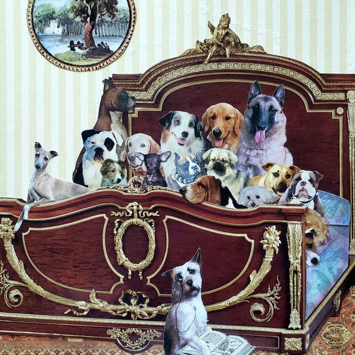 Erica DiPaolo Designs – Großhandel Grußkarten für den Alltag – Partykarte für Hunde, Karte für gute Besserung, Karte für Hundeliebhaber2