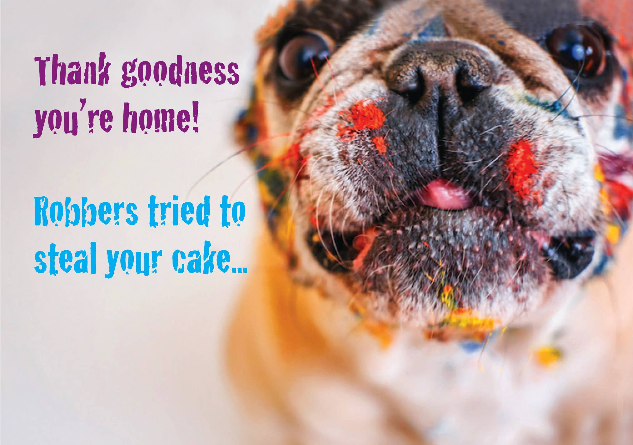 Dog Speak – Engroshandel Fødselsdagskort – Fødselsdag - Gudskelov du er hjemme!3