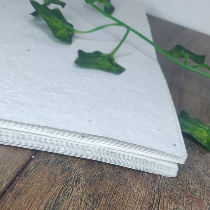 Arthur&Luna – wholesale Stationery/notecard set – Wildflower seed paper A4 200gsm3