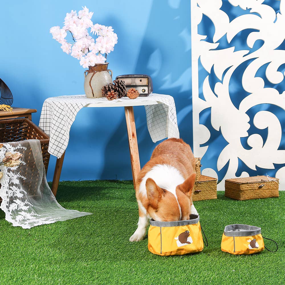 Hugsmart Products Inc – Großhandel Futternapf – Katze/Hund – HugSmart Pet - Go Napf (S)4