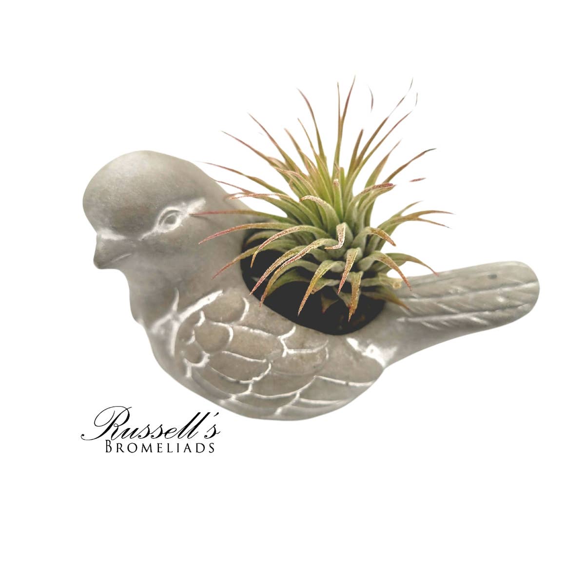 Russell's Bromeliads - Wholesale Decorative Figurine - Petite Menagerie - Half Pack9