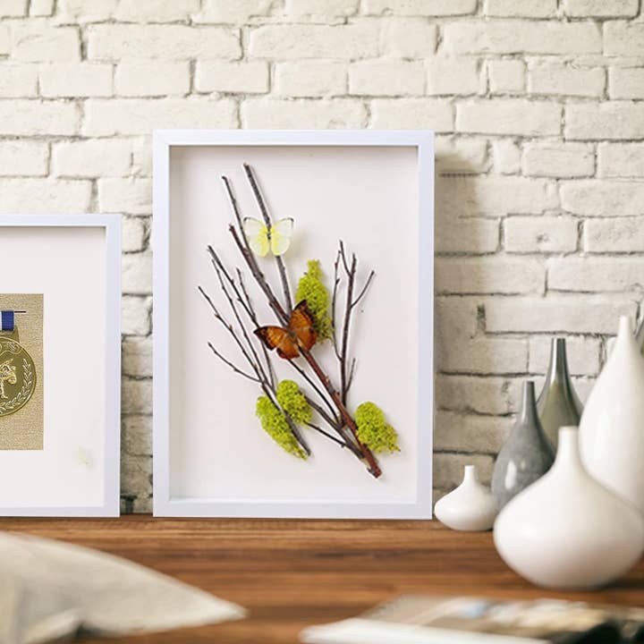 Angel Isabella - Wholesale Picture Frame - Shadow Box Display Case Frame-2"Depth