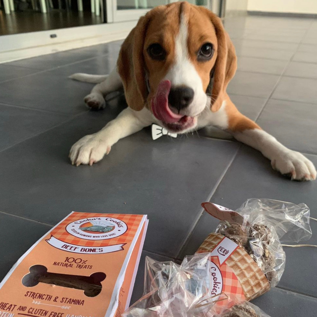 Cooka's Cookies - Wholesale Pet Treats - Dog - Beijinhos Turkey - Crunchy and Natural Turkey dog treats1