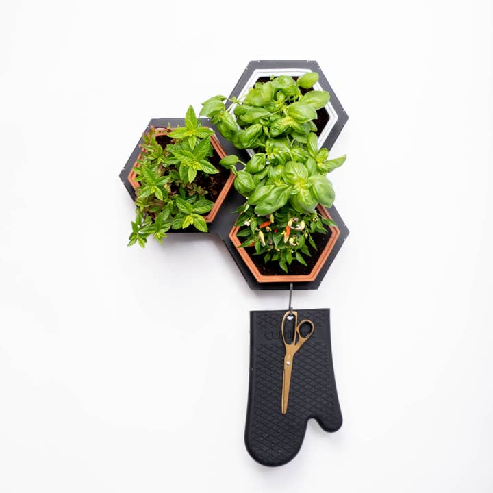 Horticus – wholesale Väggkruka – Horticus levande vägg växt ram1