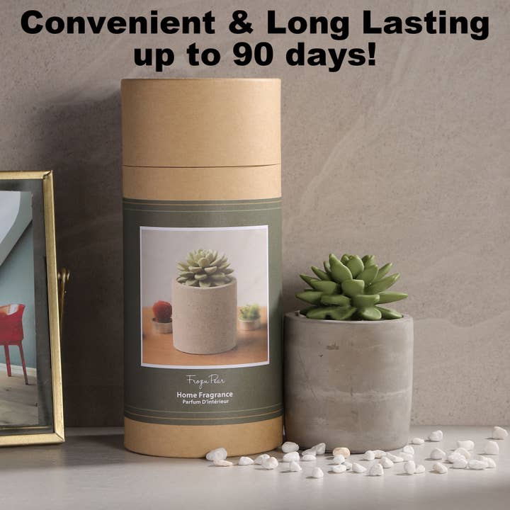 Pretty Valley Home - Wholesale Diffuser fragrance refill - Reed Diffuser Set Gypsum Succulent 3.38 FL OZ (100 ml)-SOC3