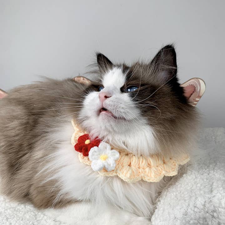 Mokka - Buntes Blumen-Halsband für Katzen für den Großhandel von Cheerhunting