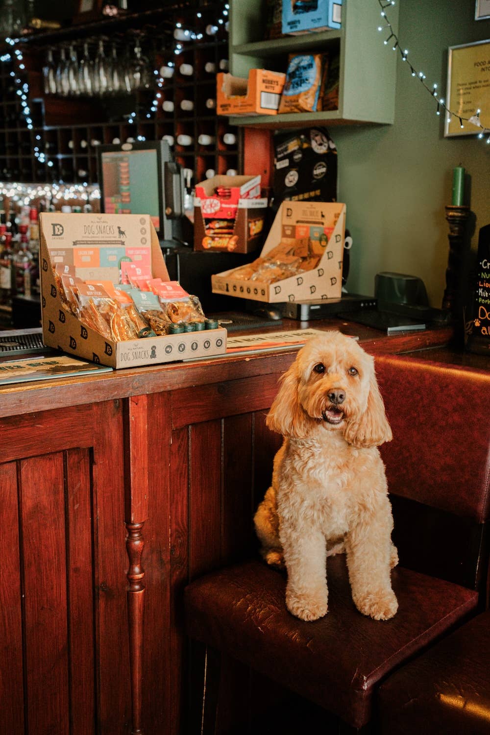 Dewkes Snacks for Dogs – wholesale Pet treats – Dog – Hospitality Counter Tray – Turn Paws into Profit5