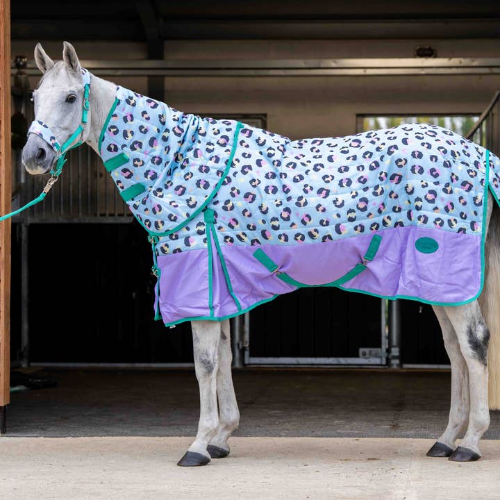 Ponyo Horsewear Wild One Stable Rug for wholesale by Intrepid International