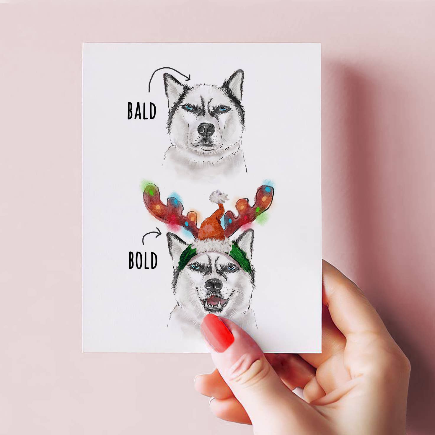 Liyana Studio - Wholesale Birthday Card - Bold Bald Husky Birthday - Funny Birthday Card3