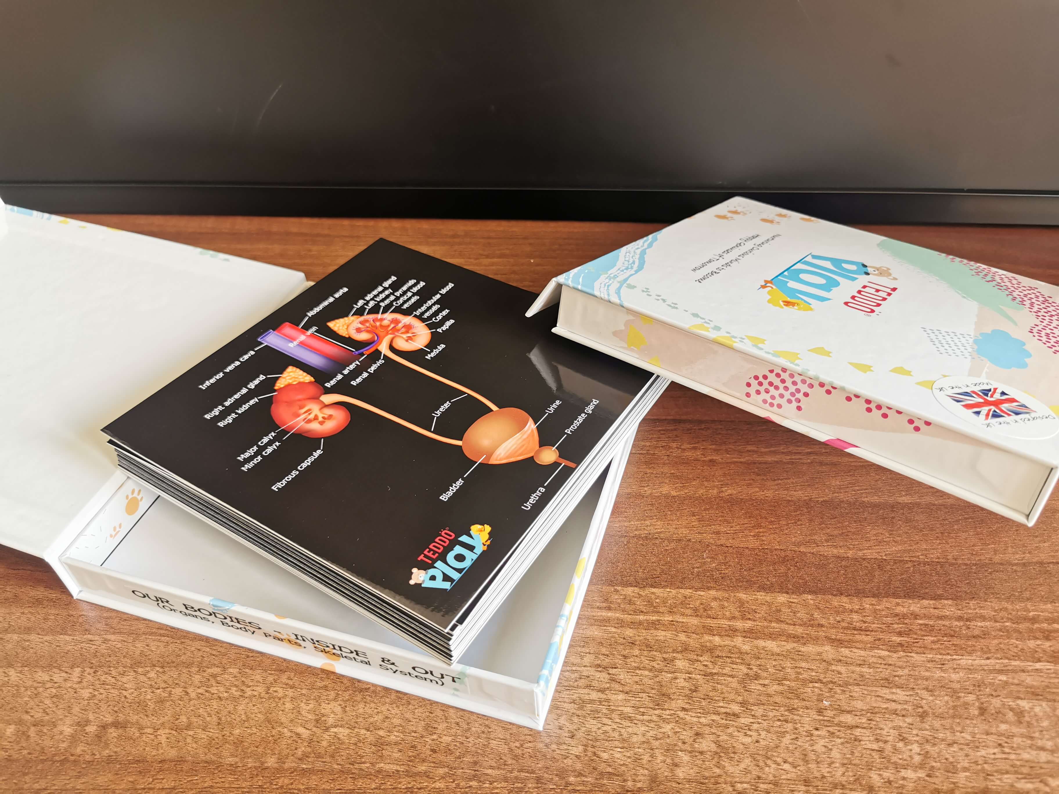 Teddo Play – Großhandel Lernkarten – Kind & Baby – Multi-Bundle mit 13 Lernsets Lernspiele für Kinder25