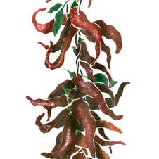 Pochoir mural Ristra Piments pour la vente par Designer Stencils