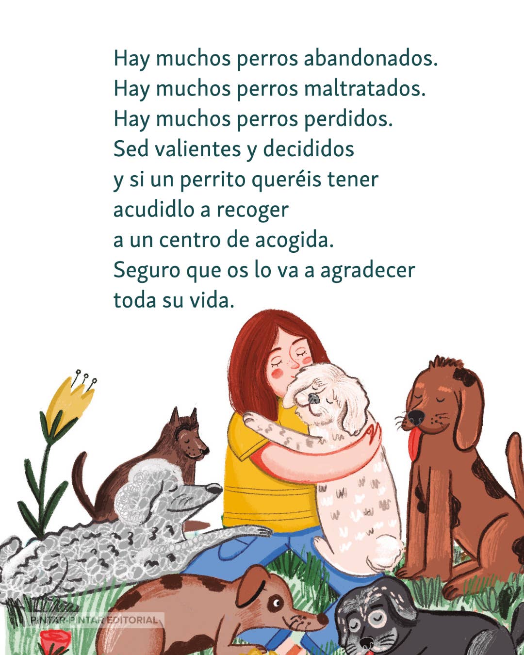 Pintar-Pintar Editorial – Engroshandel Bog om kæledyr – Halleluja for min lille hund Perico4