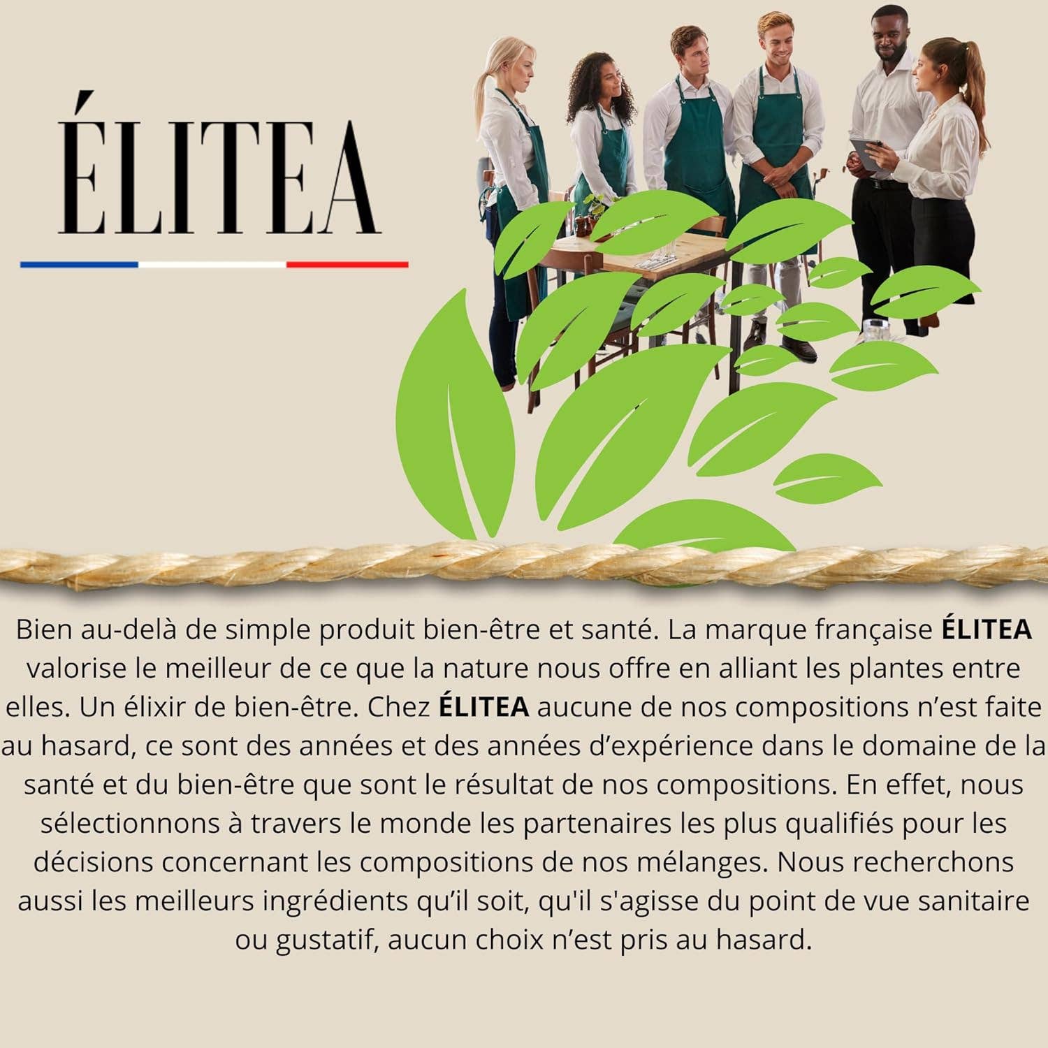 ELITEA - Vendita all'ingrosso Caffè freddo - Nep nep Acacia Nilotica in polvere5