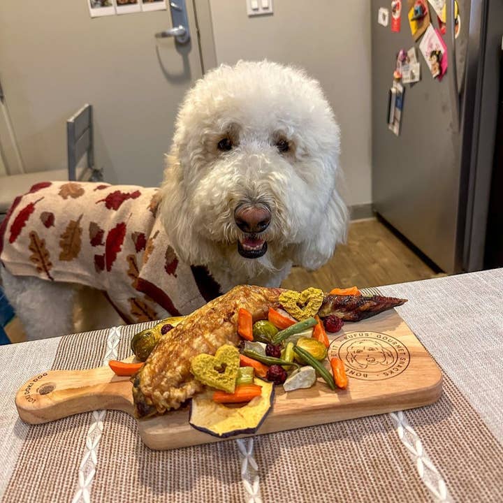 Gogoma - Wholesale Pet Treats - Dog - Kelp + Tuna Whole Food Dog Treat for Heart Health7