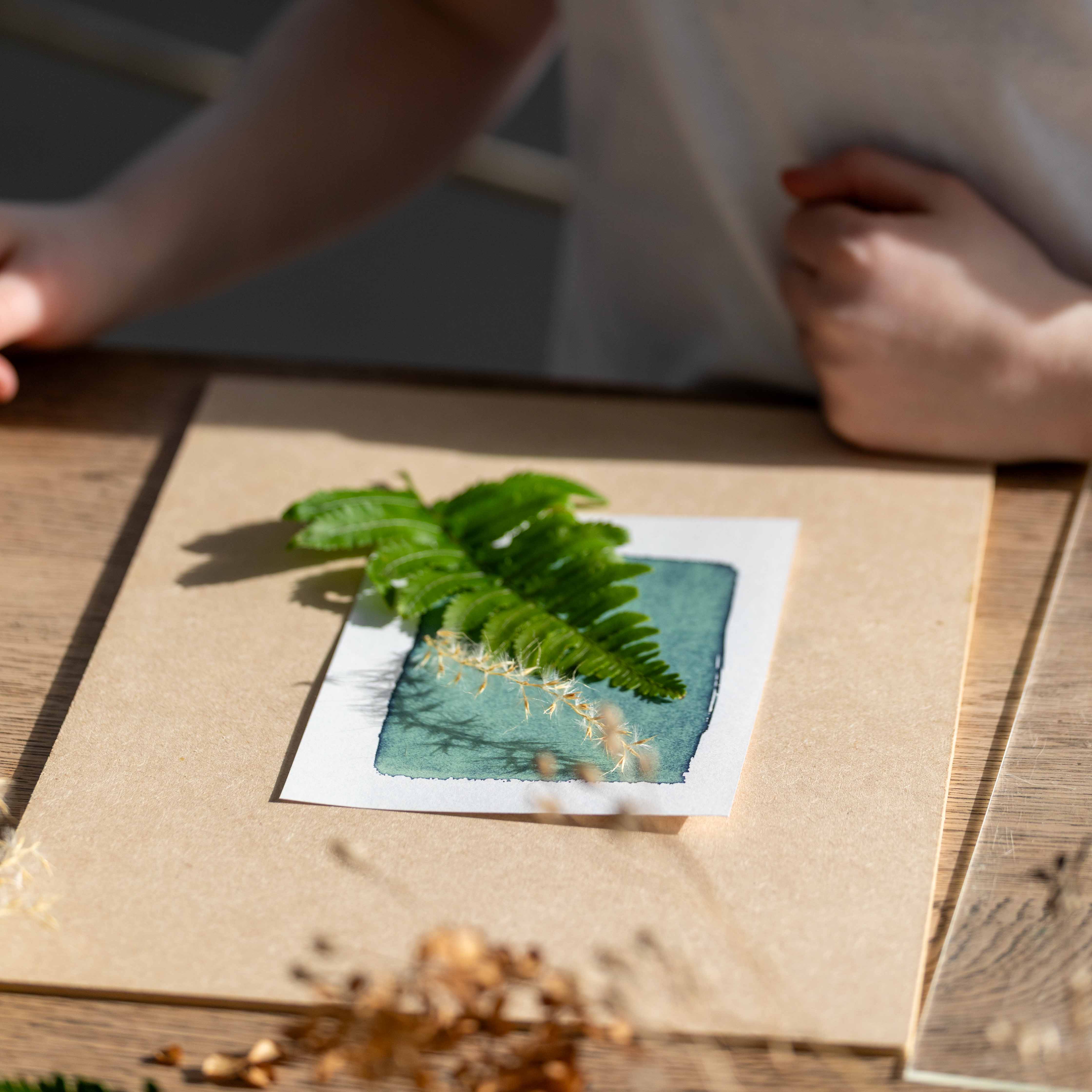 The Wild Darkroom – wholesale DIY craft kit – Cyanotype Printing Paper - A63