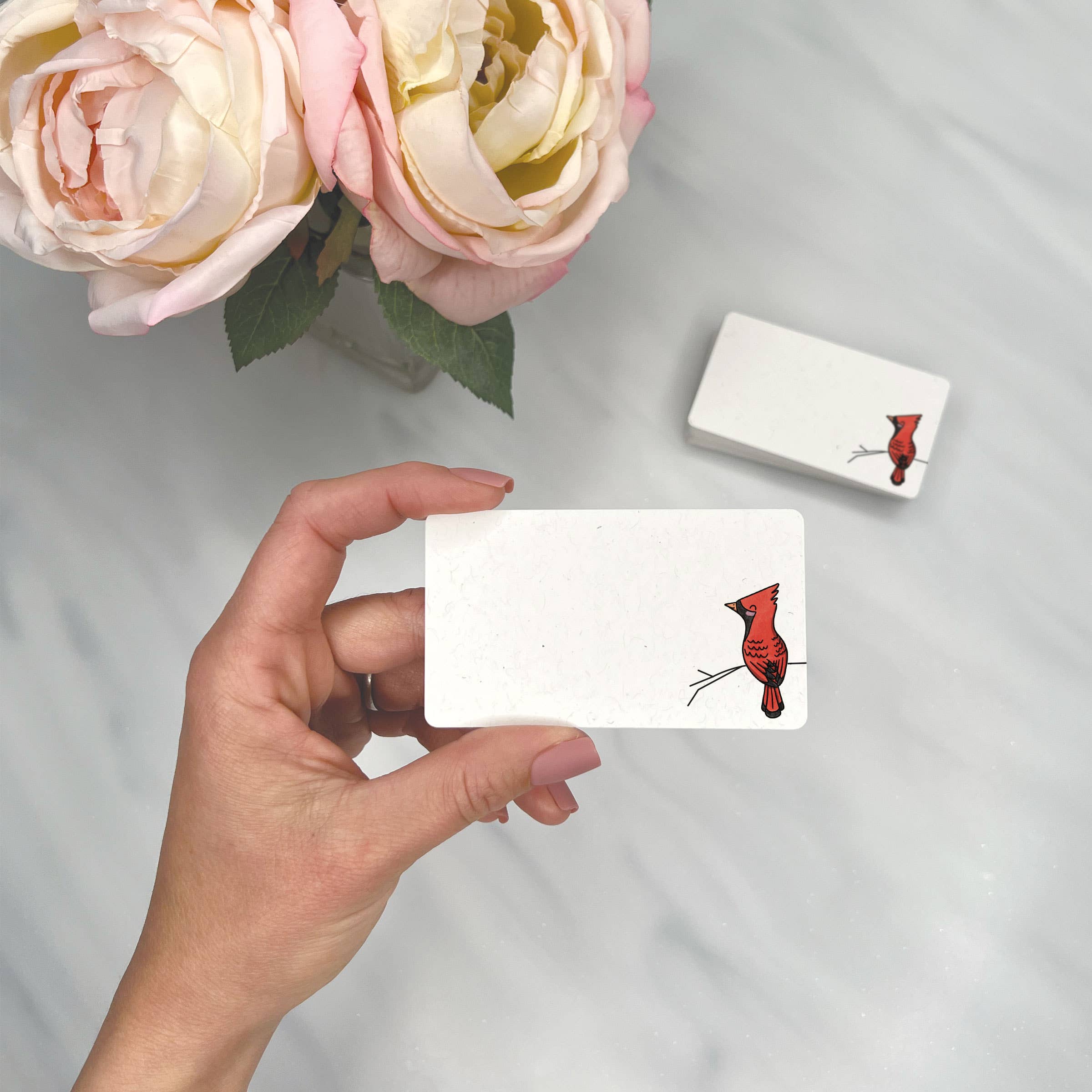 Lemon Doodle - Wholesale Stationery/Notecard Set - Beautiful Red Cardinal - Mini Note Cards (Pack of 56)1