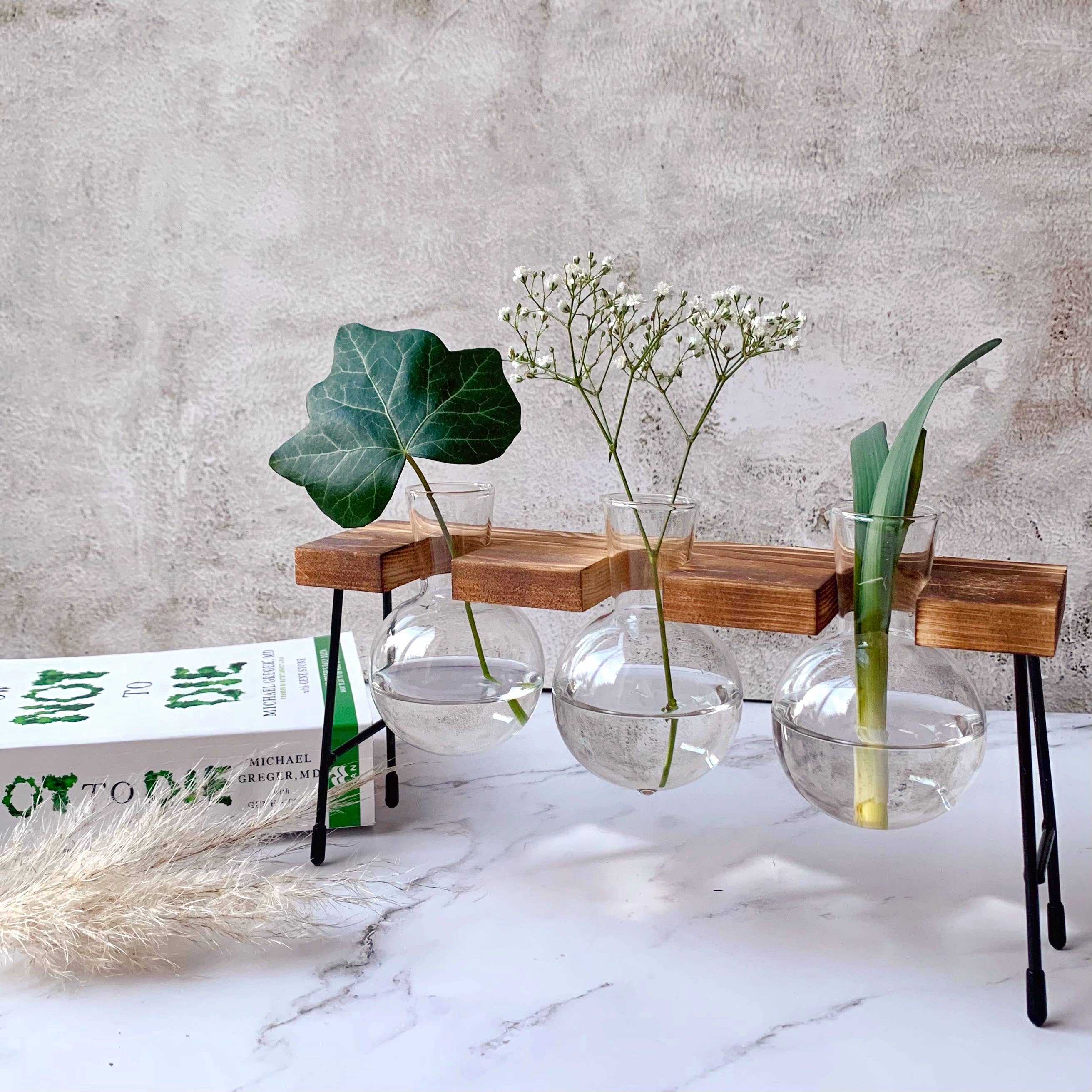 IVORE.GROUP (We cover All Import duty) – wholesale Vas – Glasvas med trästativ för hydroponisk odling4