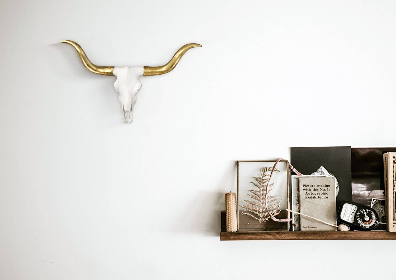 Wall Charmers – Engroshandel 3D-vægkunst – Austin Mini hvid og guldfarvet Texas Longhorn oksehoved i harpiks5