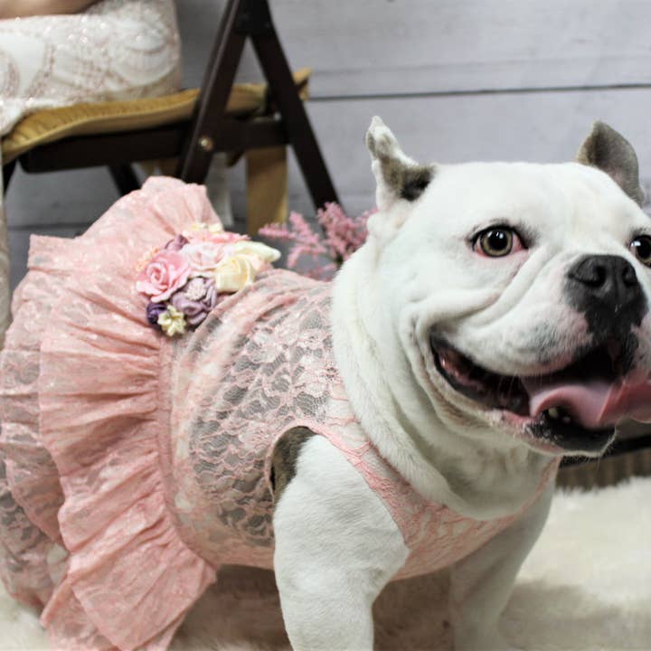 House of FurBaby - Wholesale Pet Dress - Dog - Formal Dog Dress | The Josefina2