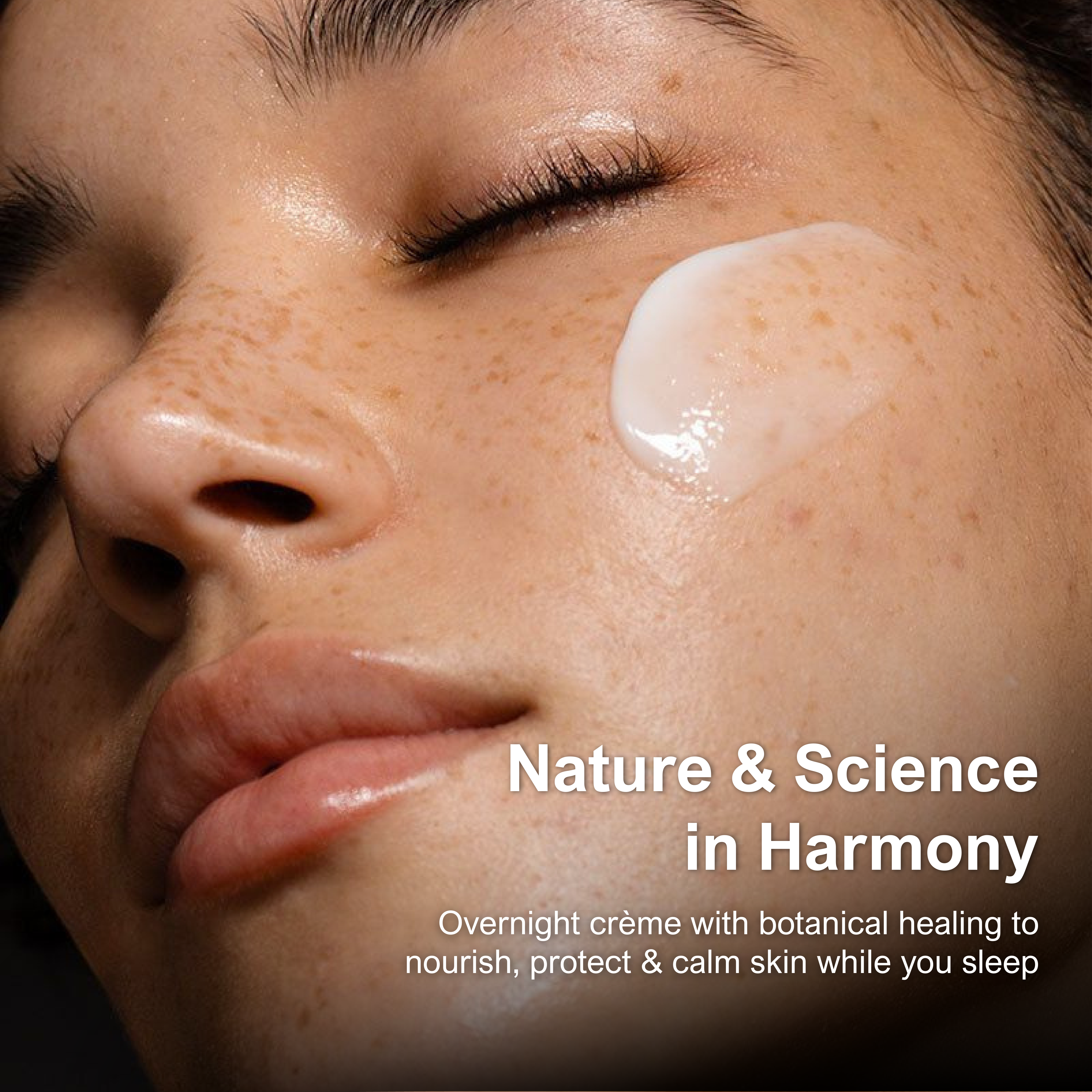 Bee Naturals - Wholesale Night Cream - Restore Barrier Night Crème with Zinc Oxide6