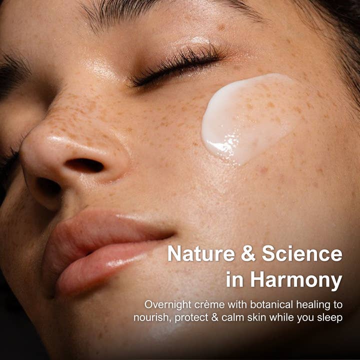 Bee Naturals - Wholesale Night Cream - Restore Barrier Night Crème with Zinc Oxide6