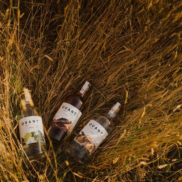Ovant – Engroshandel Alkoholfri spiritus/vin/øl – Ovant Mixed Six