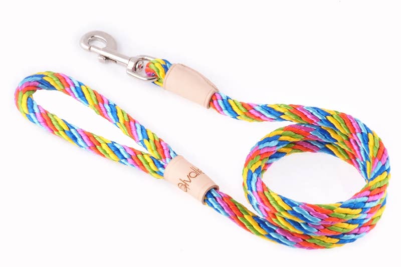 Alvalley – wholesale Pet leash – Dog – Sport Snap Lead28