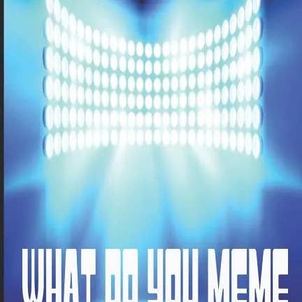 Books by splitShops - Wholesale Humor - What Do You Meme? - Paperback