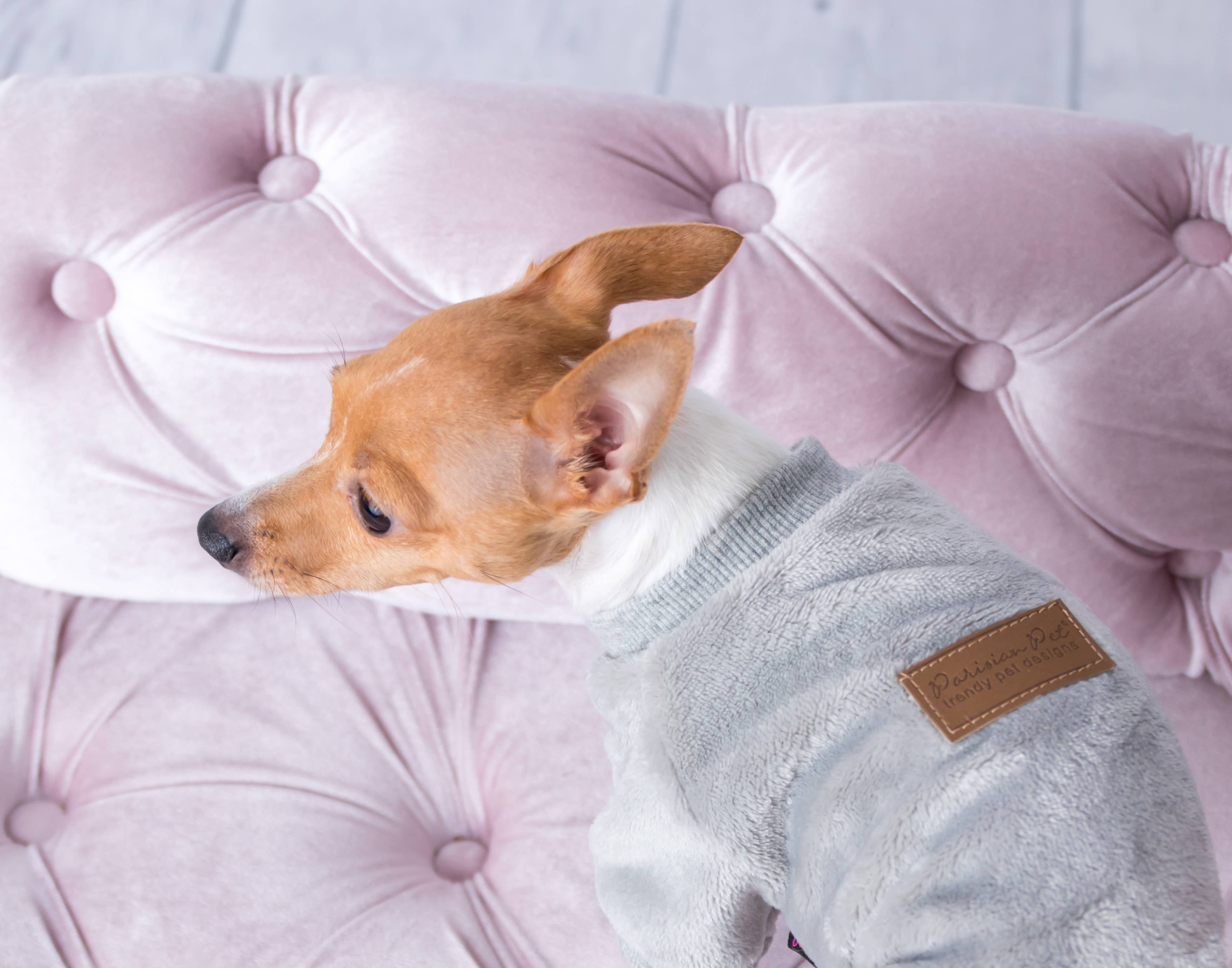 Parisian Pet® - Wholesale Pet Pajamas - Dog - Velour Pajama Cloud Gray – Warm & Fashionable Dog Pajamas5