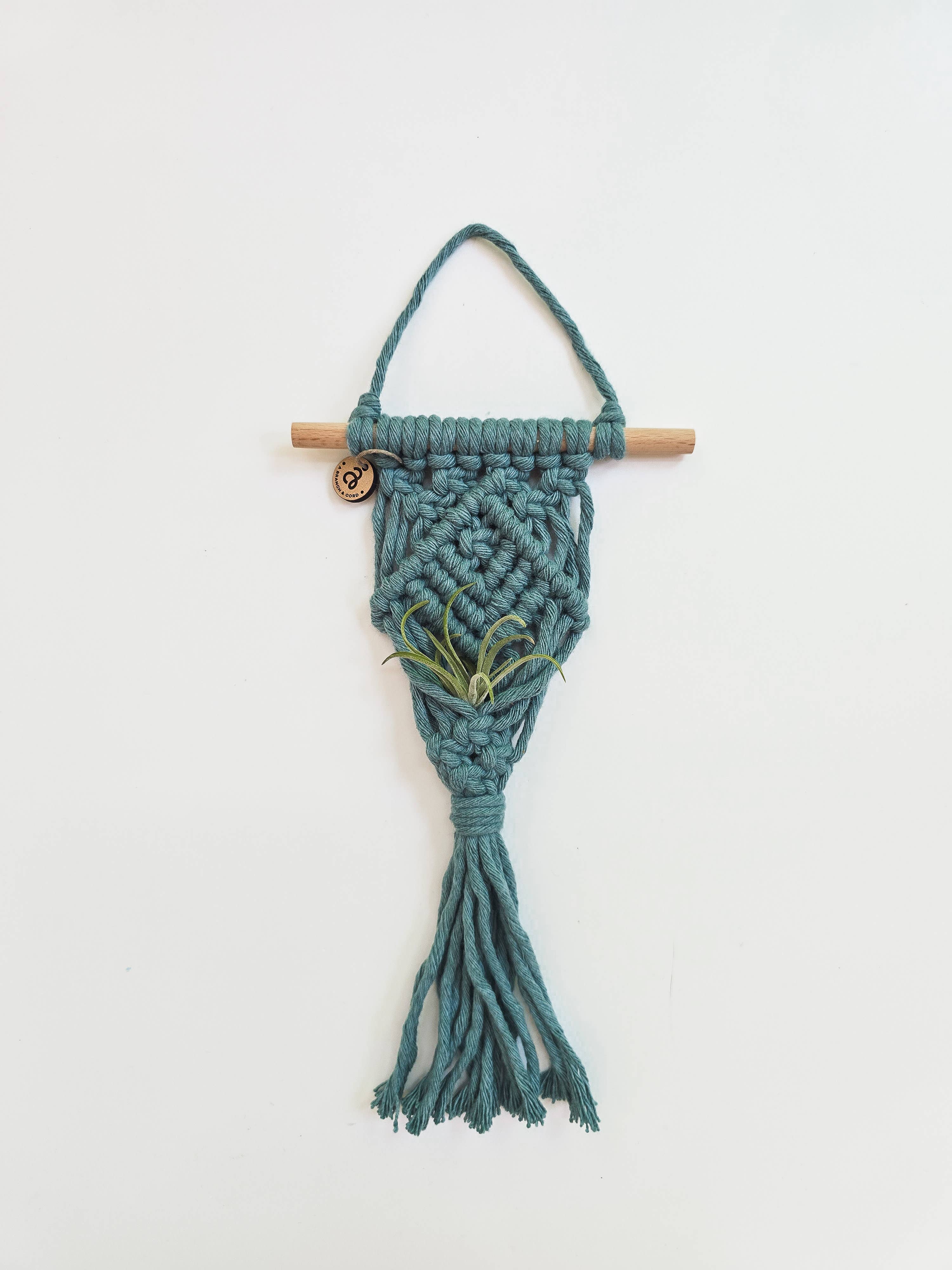 A Branch & Cord - Vendita all'ingrosso Fioriere a sospensione - Portavaso per Piante Aeree in Macramè – Decorazione Boho per Piante Sospese2