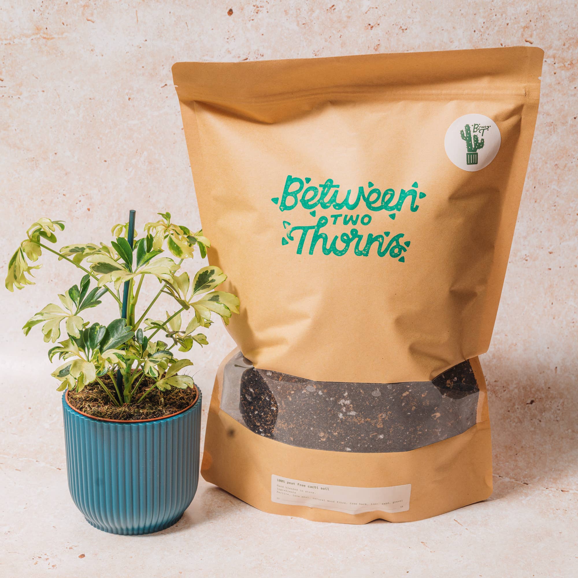 Between Two Thorns – wholesale Planting/potting soil – Cacti and Succulent Soil0