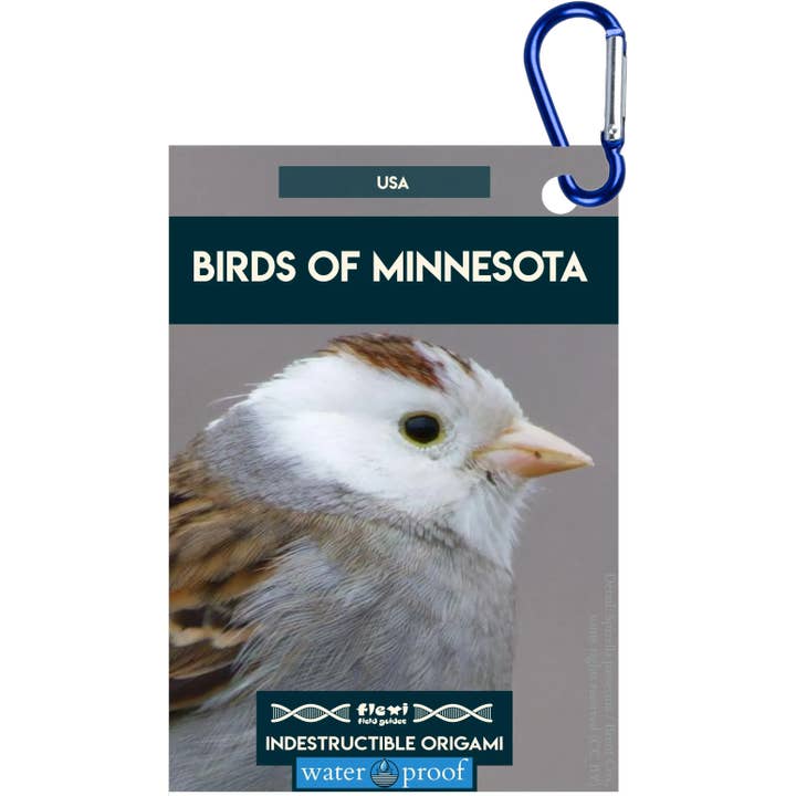 Pássaros de Minnesota-Origami Indestrutível por atacado de Flexi Field Guides