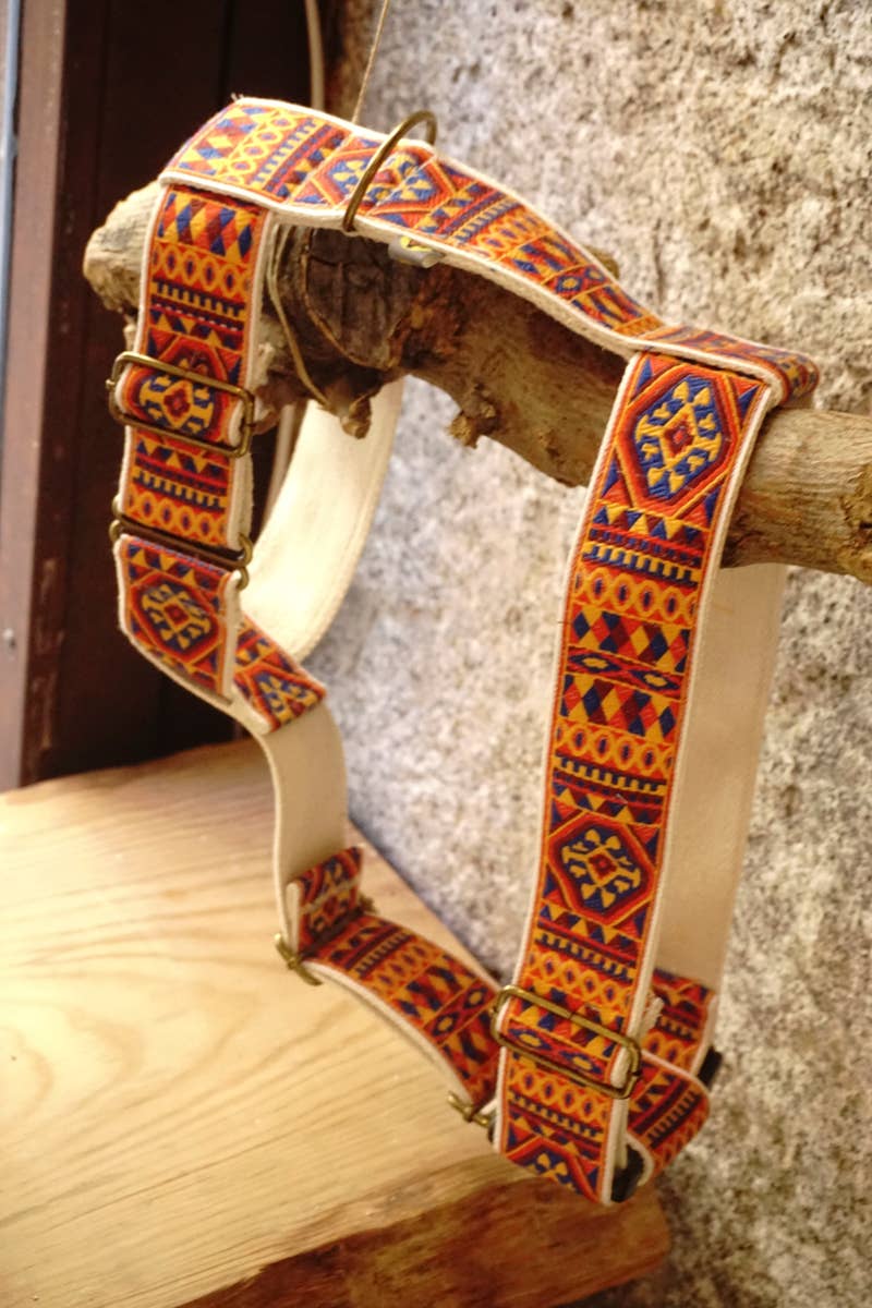 hundsfutter - Wholesale Pet Harness - Dog - "Ruben" dog harness and leash18